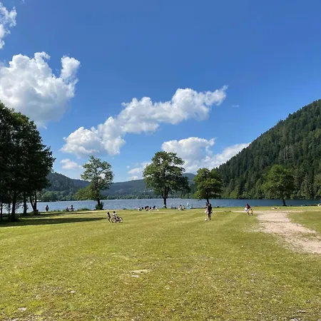L'ecureuil Des Lacs Xonrupt-Longemer