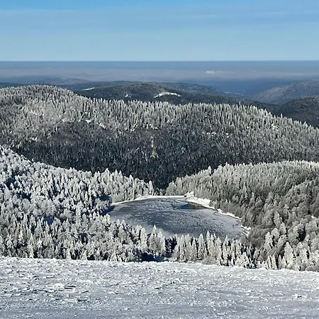 Апартаменты L'ecureuil Des Lacs *