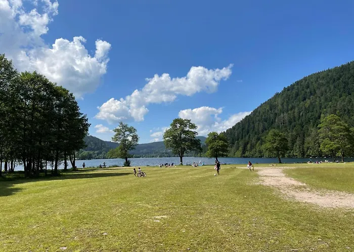 L'ecureuil Des Lacs Xonrupt-Longemer